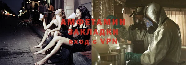 прущие грибы Абинск