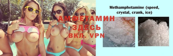 прущие грибы Абинск