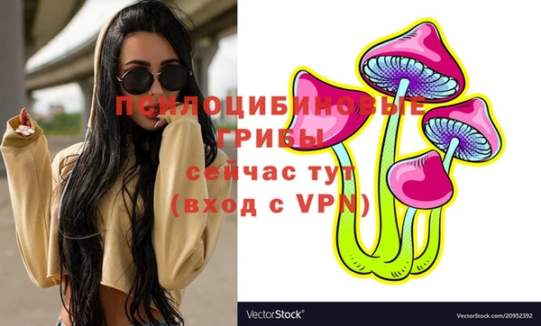 ПСИЛОЦИБИНОВЫЕ ГРИБЫ Абдулино