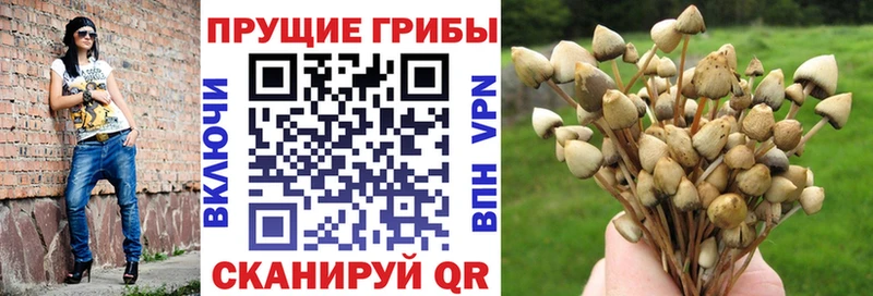 Галлюциногенные грибы GOLDEN TEACHER  что такое   ссылка на мегу маркетплейс  Владикавказ 